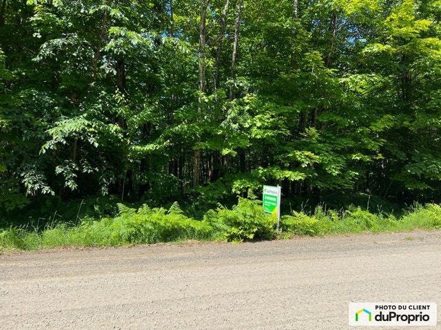 $150,000 - Residential Lot for sale in Lac-Superieur — photo 2