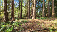 Great Investment - 0.98 acre Lot 5 Inverness Rd North Saanich