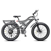 1000W Fat Tire Mountain Ebike 47KPH Free Shipping