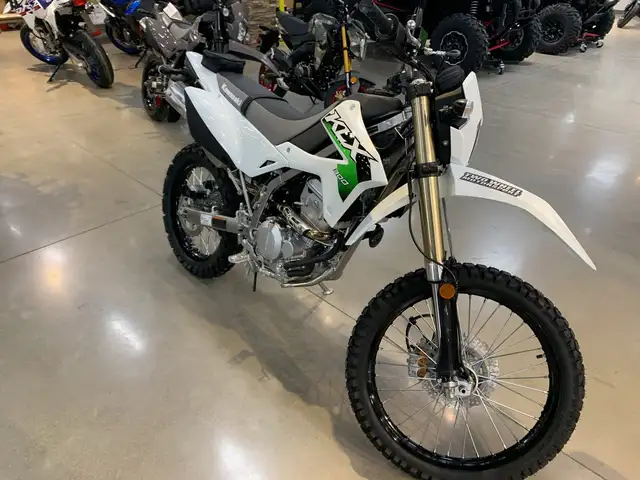 2026 Kawasaki KLX300 KLX300 ON/OFF ROAD DUAL PURPOSE in Street, Cruisers & Choppers in Guelph - Image 3