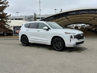 The Ultimate Calligraphy is designed to compete with entry-level luxury SUVs by offering a high-end... (image 1)