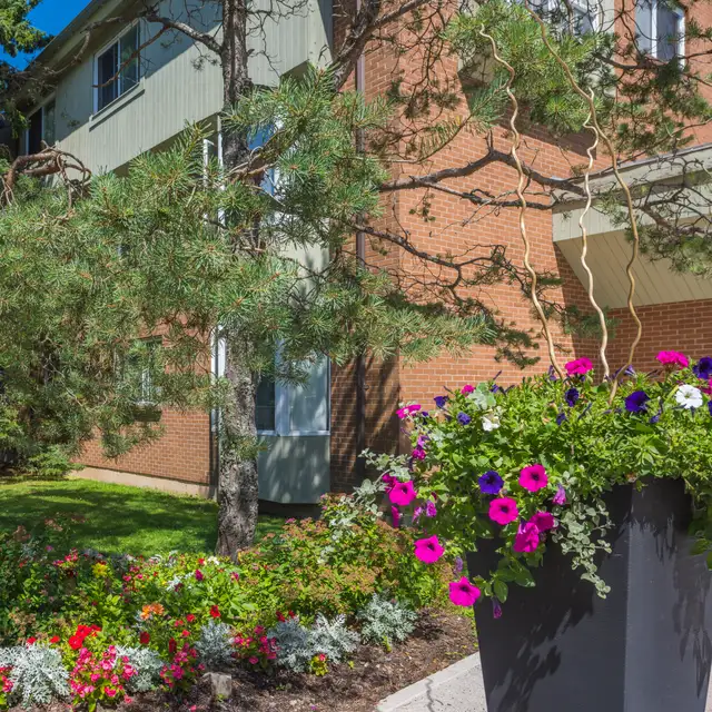 AMAZING LARGE 2 BEDROOM - CLAYTON PARK in Long Term Rentals in City of Halifax - Image 12