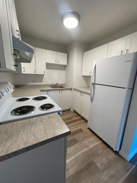Large Laundry Closet with Stack-able Washer and Dryer in Unit and Off Street Parking. Minutes to Mal... (image 4)