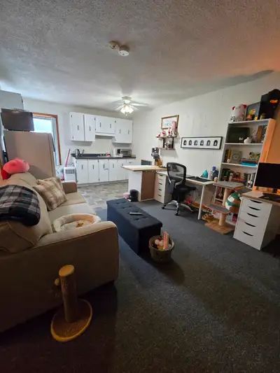 Bachelor Apartment - Bracebridge