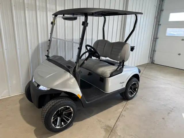 2026 EZGO RXV2 Freedom Platinum in ATVs in Vernon - Image 5