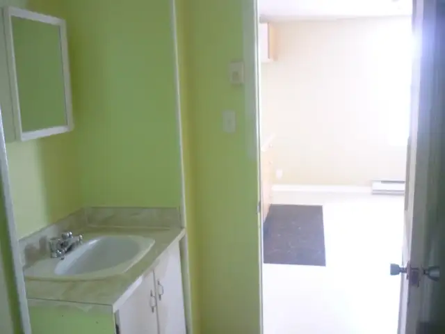 Photo 11