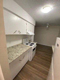 Mapleview Place - 1 Bedroom Apartment for Rent