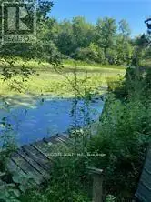 00 LILAC STREET South Glengarry, Ontario in Land for Sale in Ottawa - Image 6