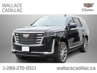 Year: 2023 Make: Cadillac Model: Escalade Trim: Platinum 4WD Drive Type: 4WD Engine: 6.2L V8 Transmi... (image 9)