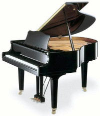 Private lessons for Piano or Guitar currently available