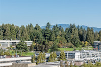 Virtual Open House: Please view our available units by clicking on the virtual tour below. Large, ne... (image 3)