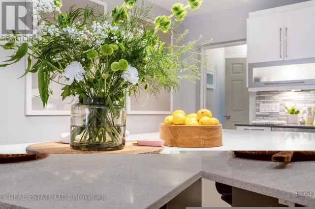 38 HALTON STREET Toronto (Trinity-Bellwoods), Ontario in Houses for Sale in City of Toronto - Image 16