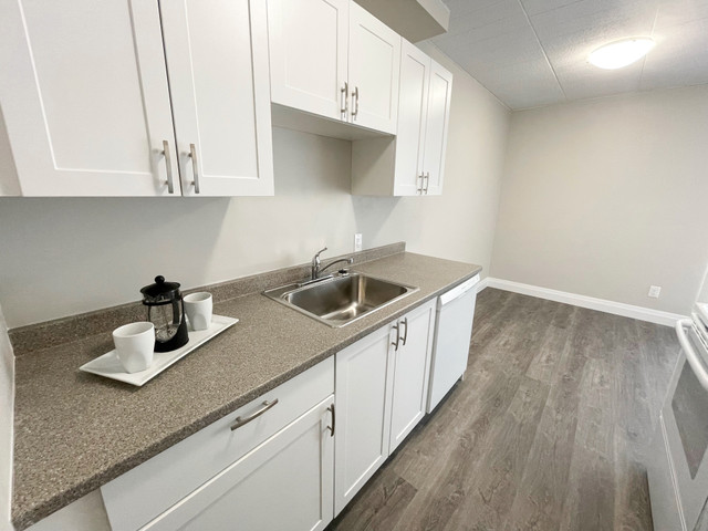1 Bedroom Apartment in SSM in Long Term Rentals in Sault Ste. Marie - Image 4