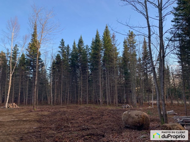 $90,000 - Residential Lot for sale in Petite-Riviere-St-Francois — photo 3