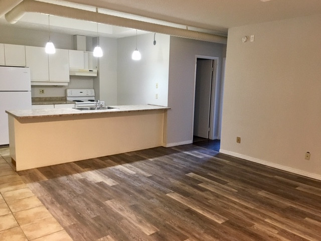 Uptown Waterloo Two Bedroom Suite Available! in Long Term Rentals in Kitchener / Waterloo