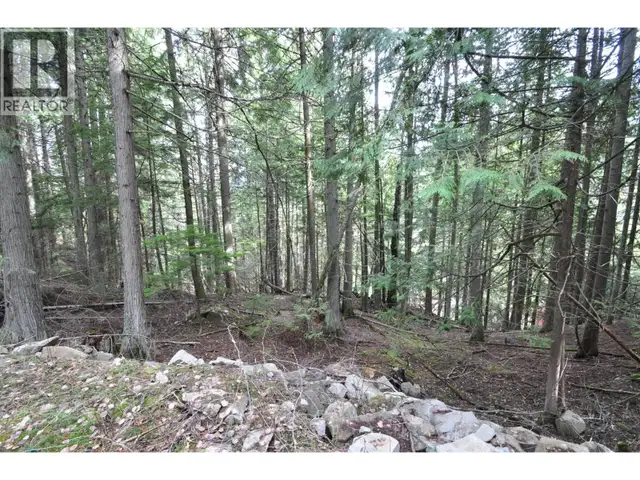 2835 SILVER KING Road Nelson, British Columbia in Land for Sale in Nelson - Image 13