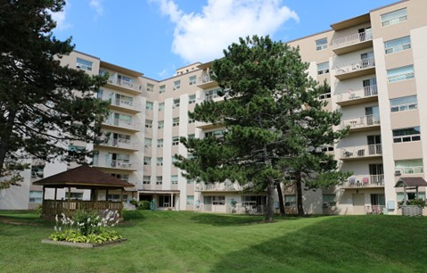 Fully renovated - Bright and spacious - One bedroom Apartment in Long Term Rentals in St. Catharines