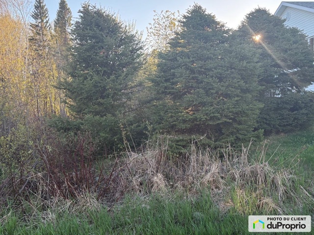 $79,000 - Residential Lot for sale in Rouyn-Noranda — photo 2