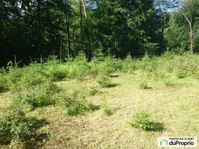 $225,000 - Residential Lot for sale in La Minerve — photo 2