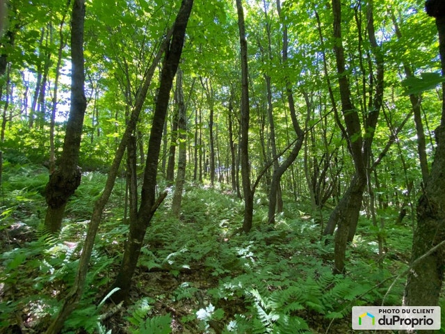 $539,000 - Residential Lot for sale in Shefford — photo 3