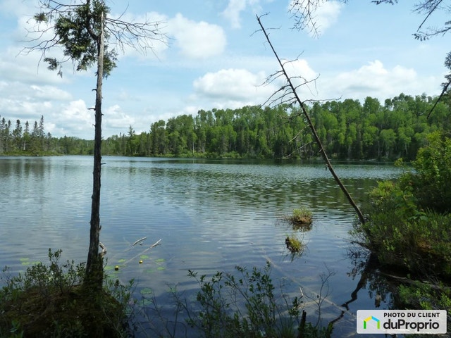 $89,900 - Residential Lot for sale in Chute-St-Philippe — photo 1