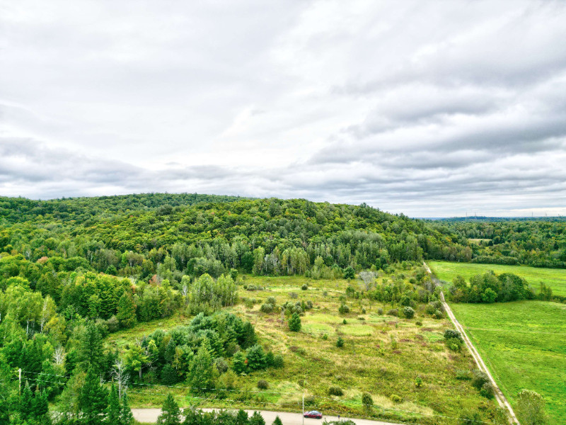 Outaouais : Saint-Sixte Terre de 233.5 acres à vendre in Land for Sale in Gatineau