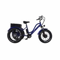 Daymak Florence Fat Tire 48V 500w Electric Tricycle sale $3195!!
