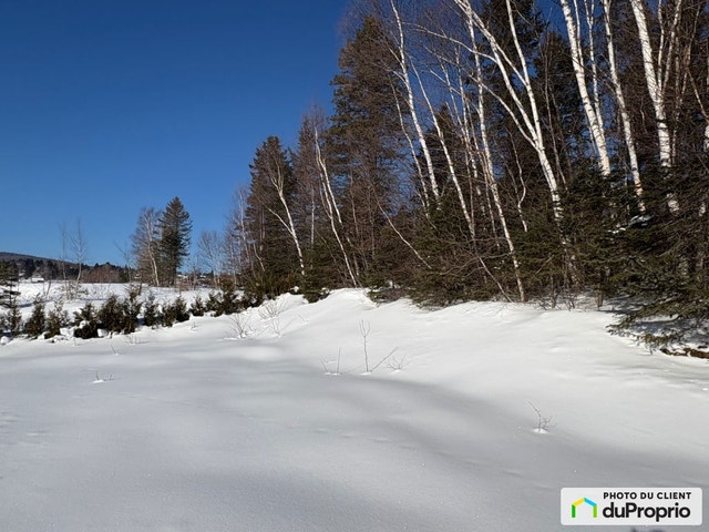 $269,000 - Residential Lot for sale in St-Ferreol-les-Neiges — photo 2