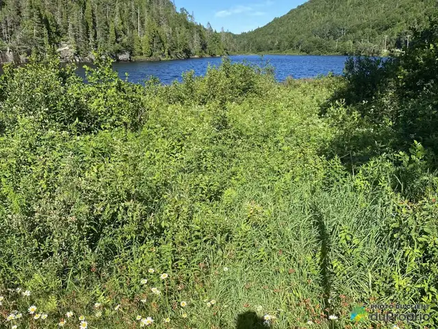 $130,000 - Residential Lot for sale in L'Anse-St-Jean in Land for Sale in Saguenay - Image 4