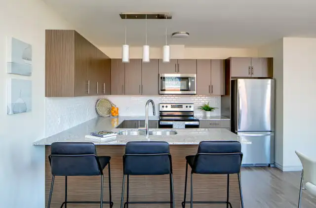 GREAT 1 BEDROOM DOWNTOWN  - GET ONE MONTH FREE! in Long Term Rentals in City of Halifax - Image 5