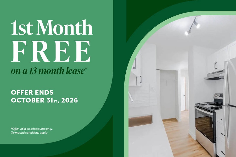 Gym, resident library, dog run and more 1