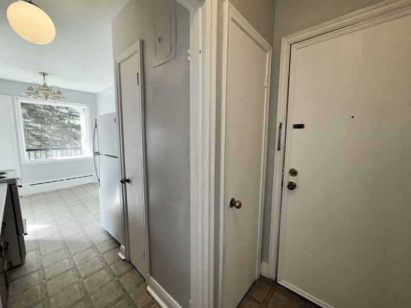 Charming 1 Bed, 1 Bath Apartment Available on Shirley Ave. 3