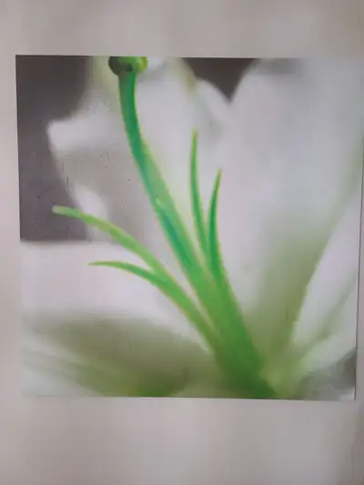 Wall decor Size 48"× 48", View more