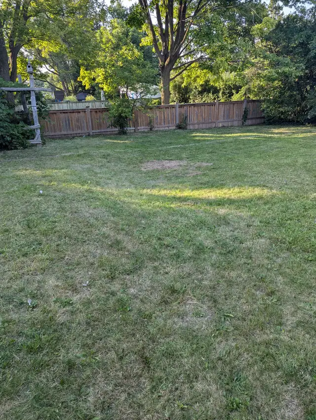 Affordable Grass Cutting and Sodding62863243478531122