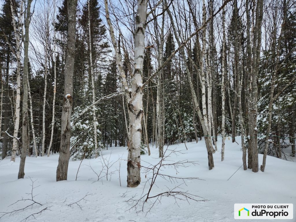 $179,500 - Wood Lot for sale in Port-Daniel — photo 2