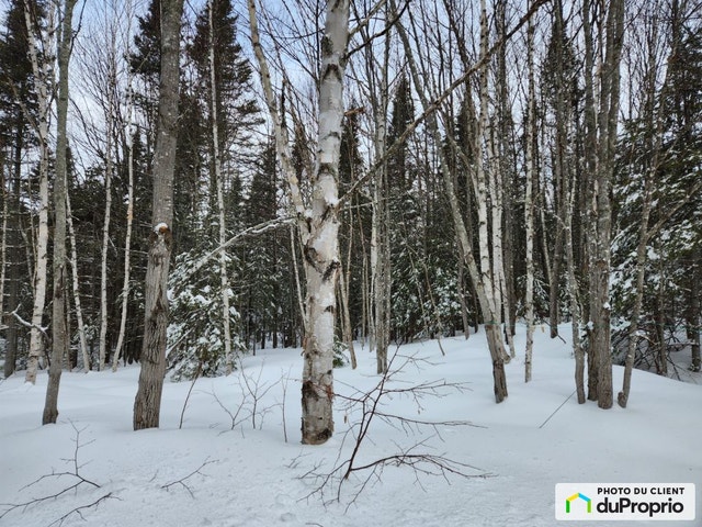 $179,500 - Wood Lot for sale in Port-Daniel — photo 2
