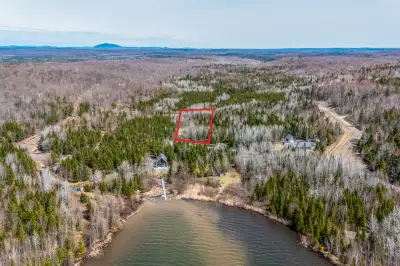 Ch. des Hauts-Cantons, Stratford Vaste terrain boisé de 1,7 acre avec accès à l'eau! Situé sur le ch...