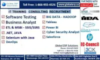 QA/Manual/Automation Software Testing Training Placements