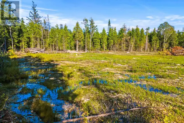 30 HURON PARK ROAD Northern Bruce Peninsula, Ontario in Land for Sale in Owen Sound - Image 21