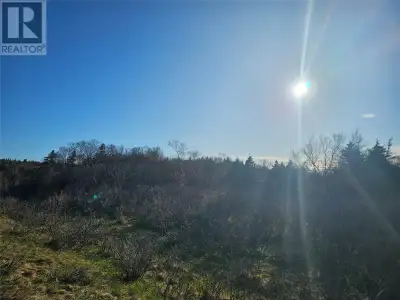 Now available, over 18 acres of undeveloped land in the popular McDougall's area of the Codroy Valle...