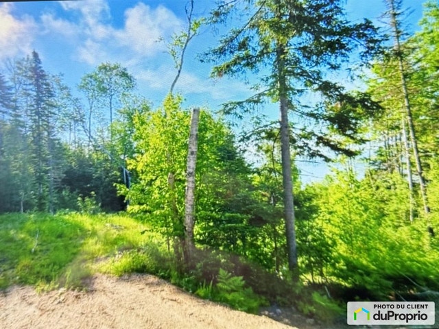 $239,000 - Residential Lot for sale in Les Eboulements — photo 3