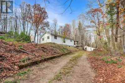 Welcome Home! This Cozy Bungalow Is Nestled Among Mature Trees On A Beautiful 2-Acre Parcel, This 3...