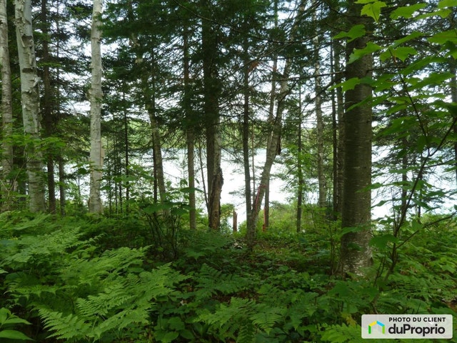 $89,900 - Residential Lot for sale in Chute-St-Philippe — photo 3