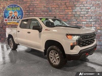 Welcome to Mann-Northway Auto Source. Perfect for both demanding job sites and exhilarating off-road... (image 7)