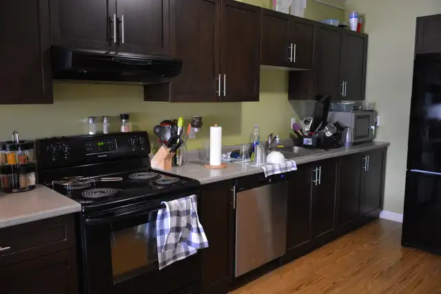 2026 STUDENT RENTALS NOW AVAILABLE! in Room Rentals & Roommates in Kitchener / Waterloo - Image 5