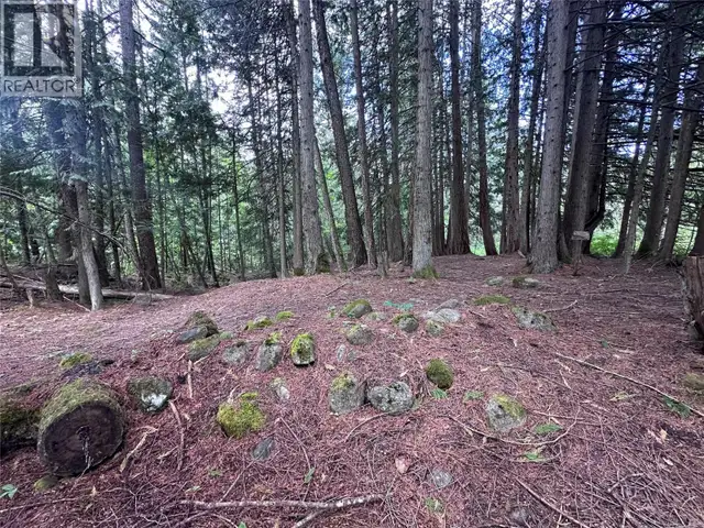 611 Slocan Street Slocan, British Columbia in Land for Sale in Nelson - Image 16