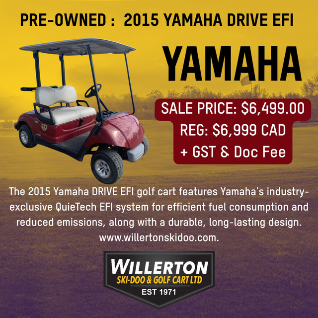 Pre-Owned Golf Carts- SALE in Golf in Edmonton - Image 4