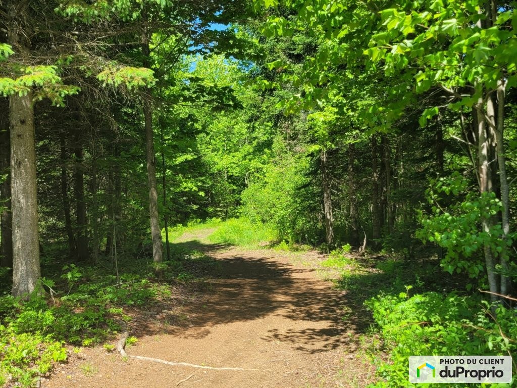 $175,000 - Wood Lot in Shawinigan (St-Gerard-Des-Laurentides) — photo 3