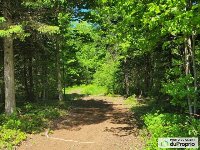 $175,000 - Wood Lot in Shawinigan (St-Gerard-Des-Laurentides) — photo 3