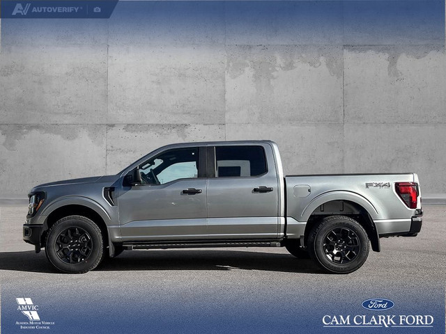 2025 Ford F-150 STX in Cars & Trucks in Red Deer - Image 4